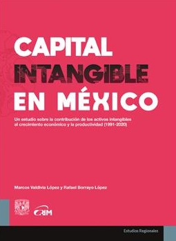Capital intangible en México: un estudio sobre la contribución de los activos intangibles al crecimiento económico y la productividad (1991-2020)