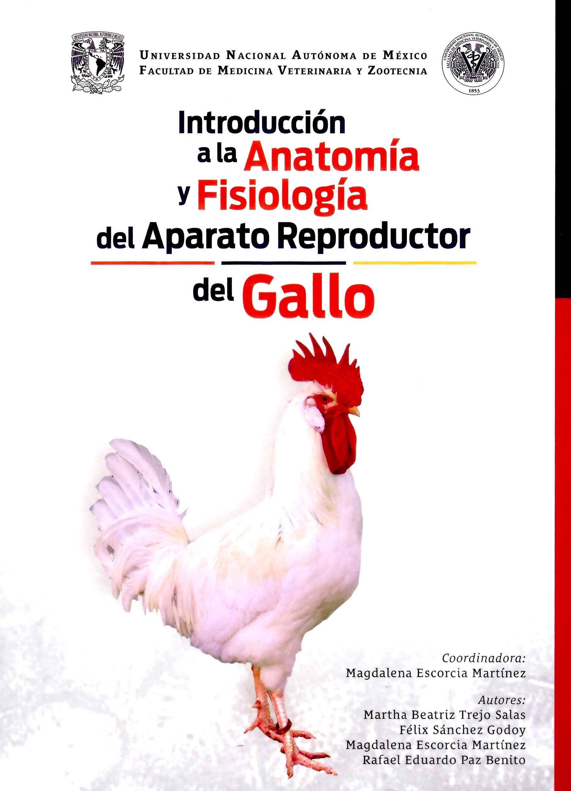 Introducción a la anatomía y fisiología del aparato reproductor del gallo