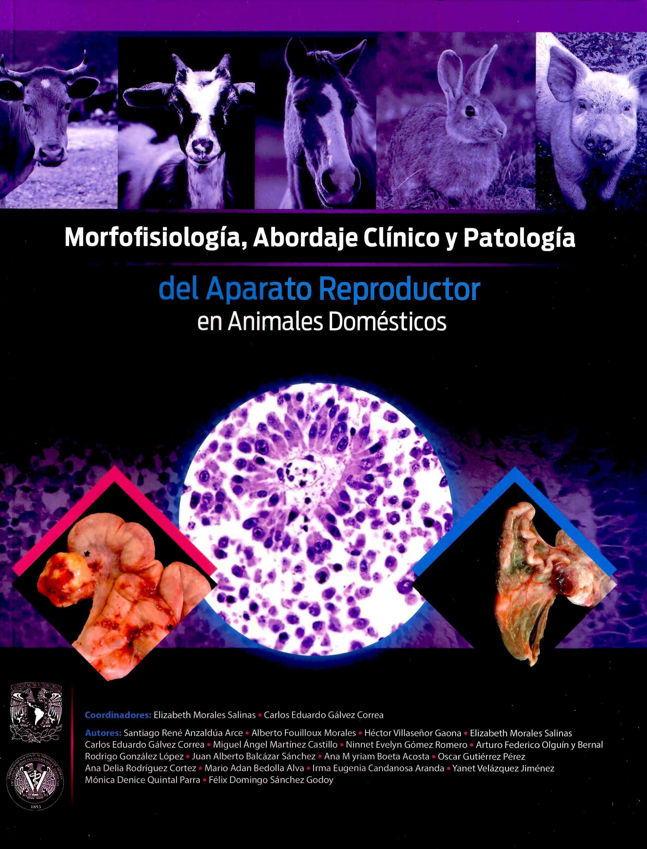 Morfofisiología, abordaje clínico y patología del aparato reproductor en animales domésticos
