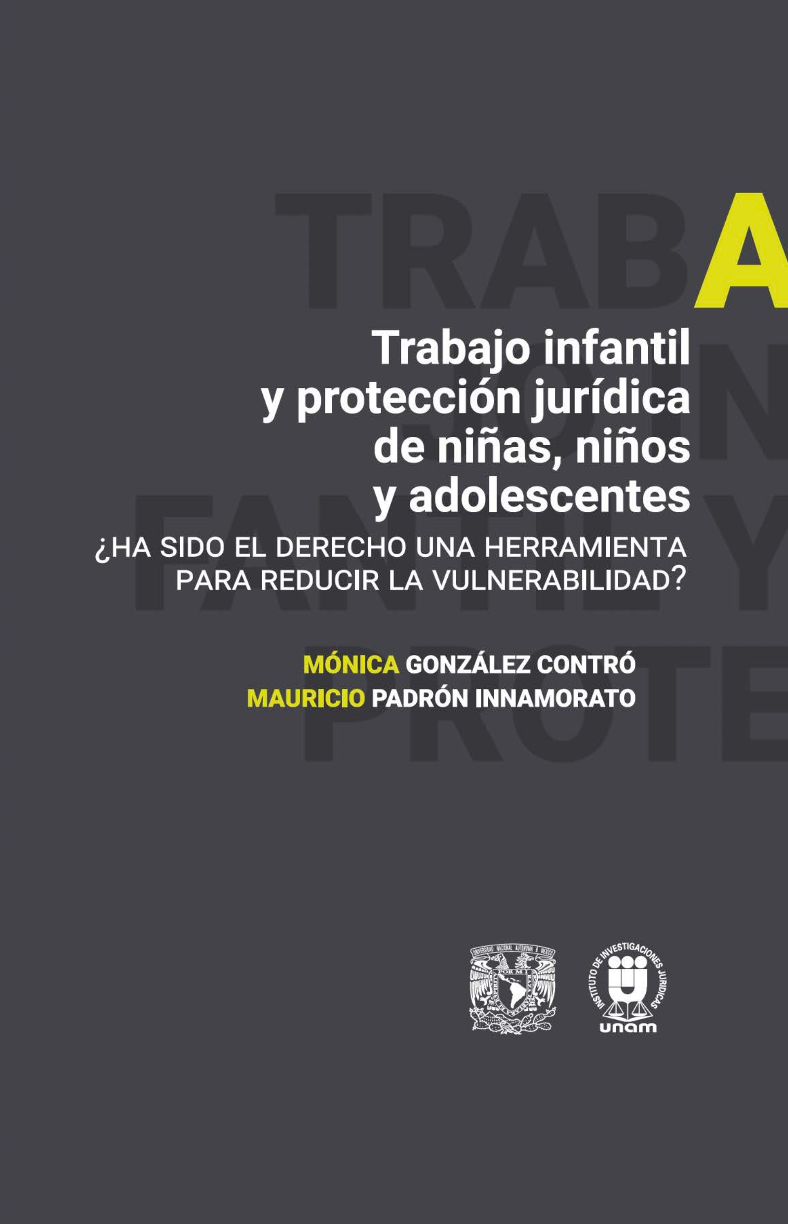 Trabajo infantil y protección jurídica de niñas, niños y adolescentes ¿Ha sido el derecho una herramienta para reducir la vulnerabilidad?