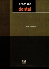 Anatomía dental