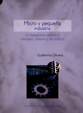 Micro y pequeña industria. Un panorama mundial, nacional, urbano y de política