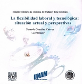 La flexibilidad laboral y tecnológica. Situación actual y perspectiva