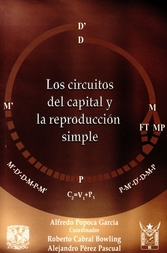 Los circuitos del capital y la reproducción simple. Estudio sobre los circuitos, subcircuitos y