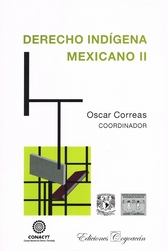 Derecho indígena mexicano Vol. II