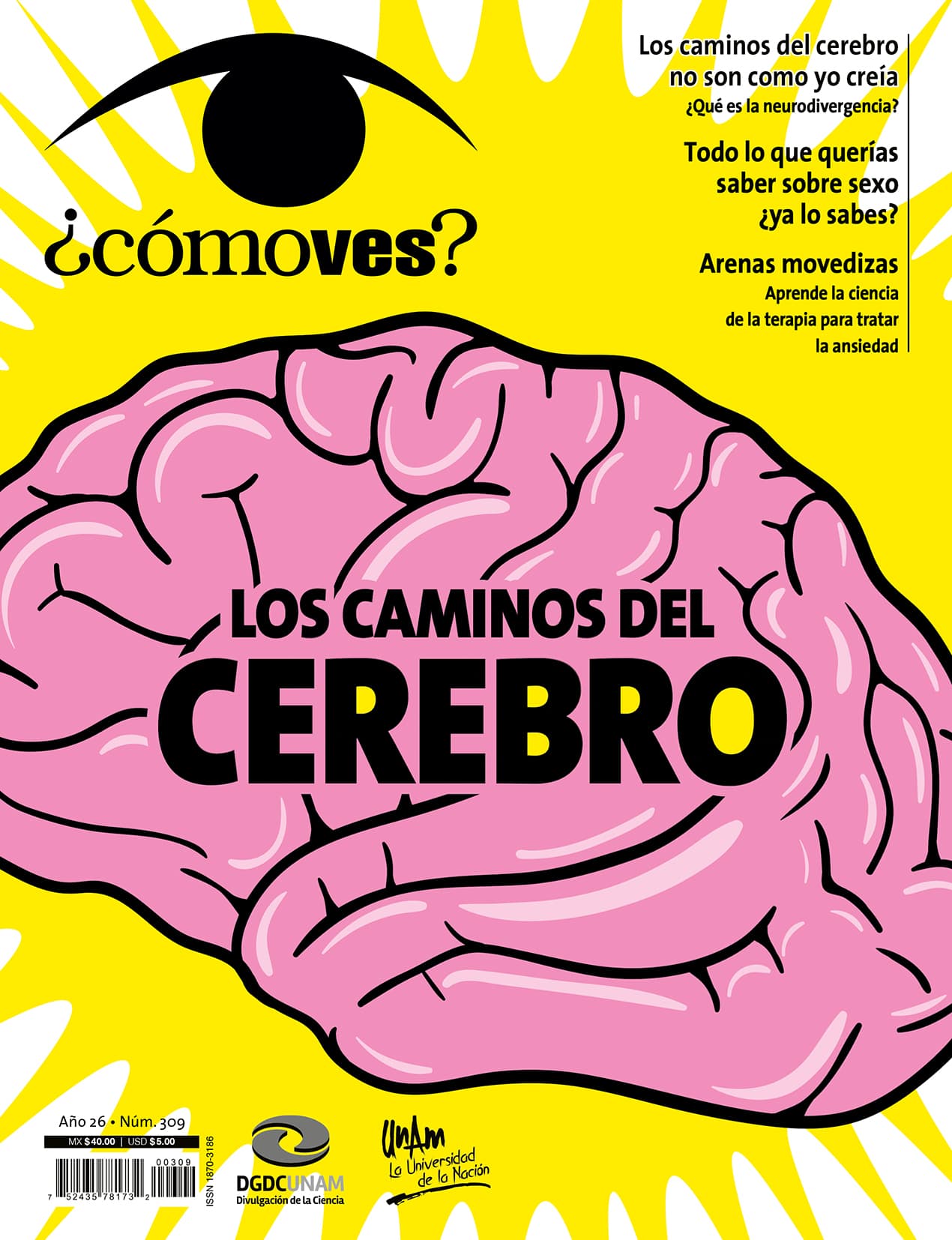 ¿Cómo ves? Revista de Divulgación de la Ciencia, año 26, núm. 309, agosto de 2024. Los caminos del cerebro