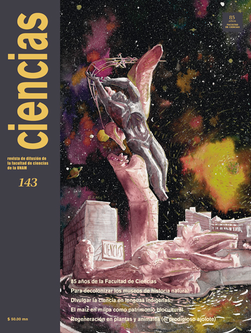 Ciencias 143, octubre-diciembre, 2024