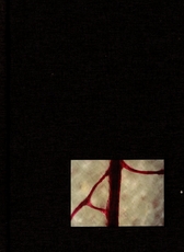 Cuaderno de notas pasta café