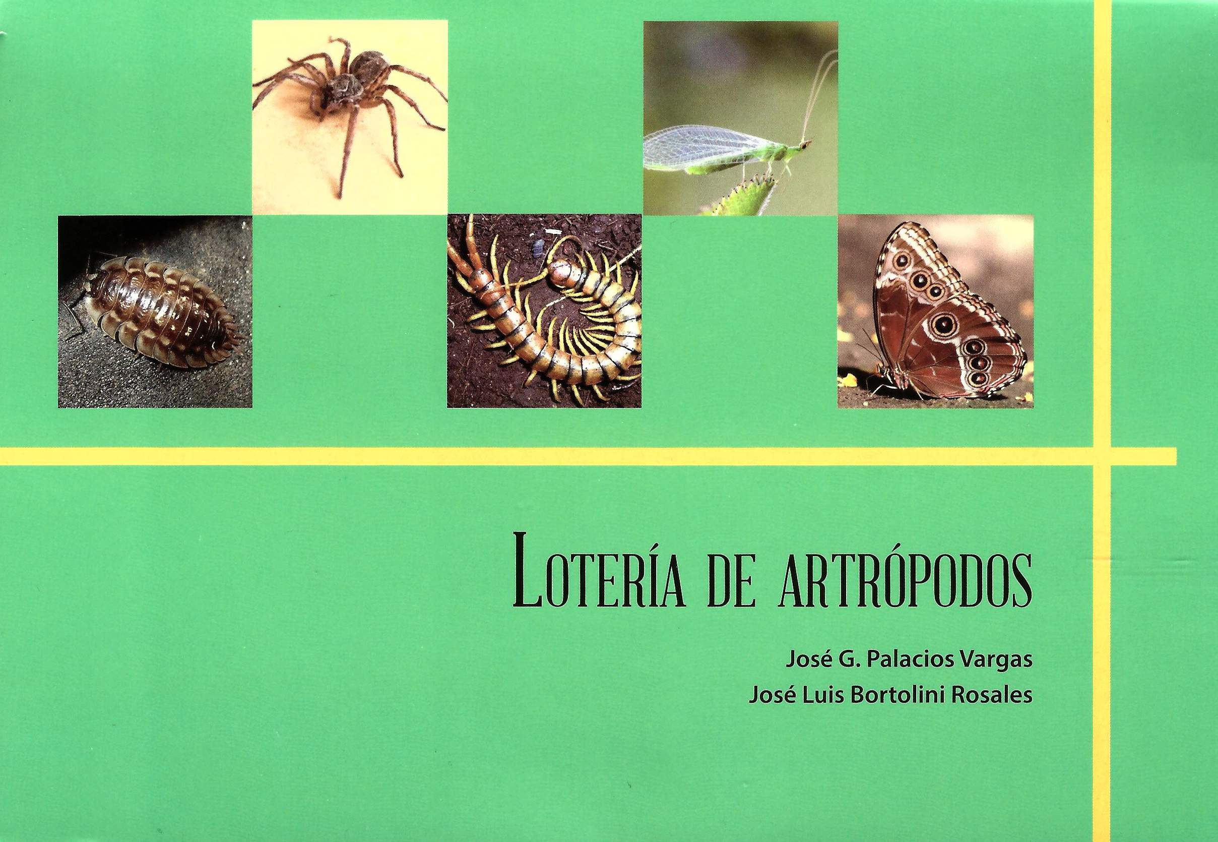 Lotería de artrópodos