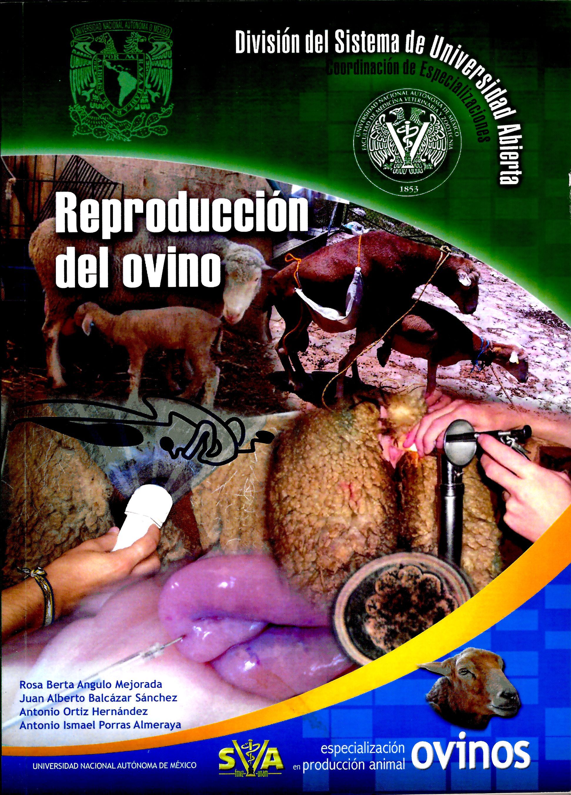 Reproducción del ovino