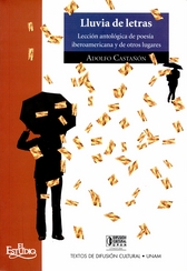 Lluvia de letras. Lección antológica de poesía iberoamericana y de otros lugares. Paseos VIII